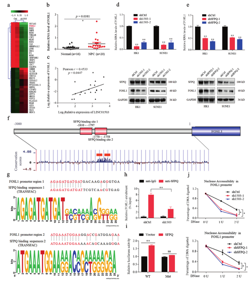 1633750536913752.png 1633750536913752.png