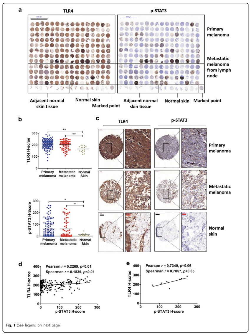 載體構(gòu)建服務(wù)-客戶文獻(xiàn)-輝駿生物.png 載體構(gòu)建服務(wù)-客戶文獻(xiàn)-輝駿生物.png