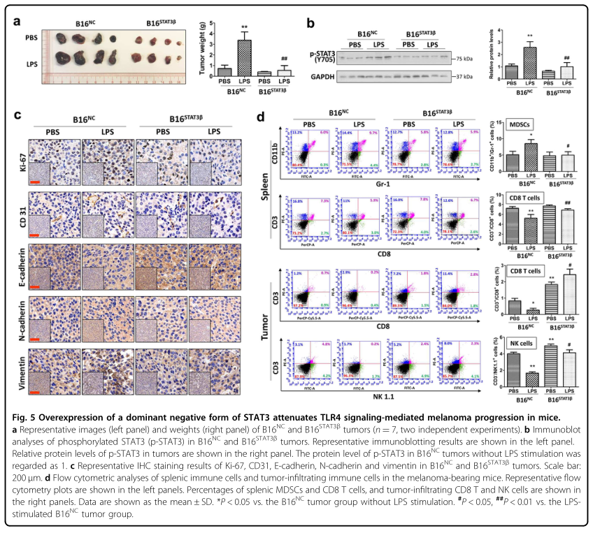 載體構(gòu)建服務(wù)-客戶文獻(xiàn)-輝駿生物.png 載體構(gòu)建服務(wù)-客戶文獻(xiàn)-輝駿生物.png