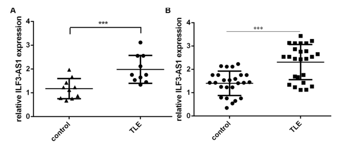 載體構(gòu)建服務(wù)-客戶文獻(xiàn)-輝駿生物.png 載體構(gòu)建服務(wù)-客戶文獻(xiàn)-輝駿生物.png