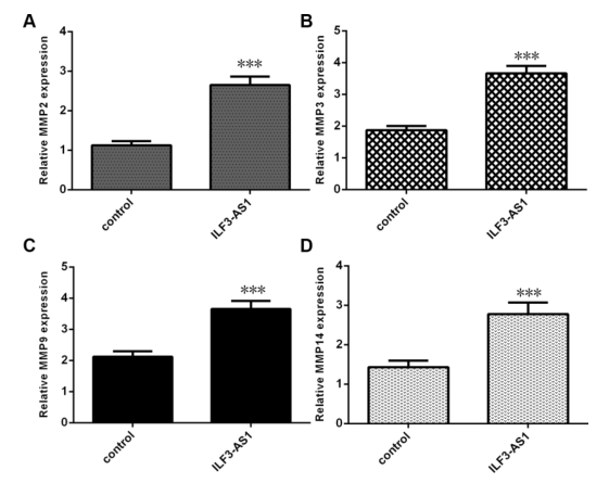 載體構(gòu)建服務(wù)-客戶文獻(xiàn)-輝駿生物.png 載體構(gòu)建服務(wù)-客戶文獻(xiàn)-輝駿生物.png