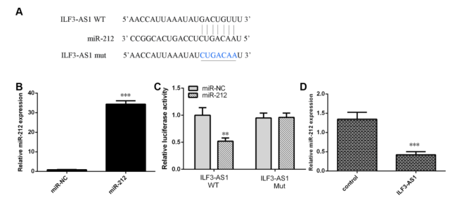載體構(gòu)建服務(wù)-客戶文獻(xiàn)-輝駿生物.png 載體構(gòu)建服務(wù)-客戶文獻(xiàn)-輝駿生物.png