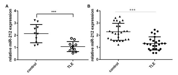 載體構(gòu)建服務(wù)-客戶文獻(xiàn)-輝駿生物.png 載體構(gòu)建服務(wù)-客戶文獻(xiàn)-輝駿生物.png
