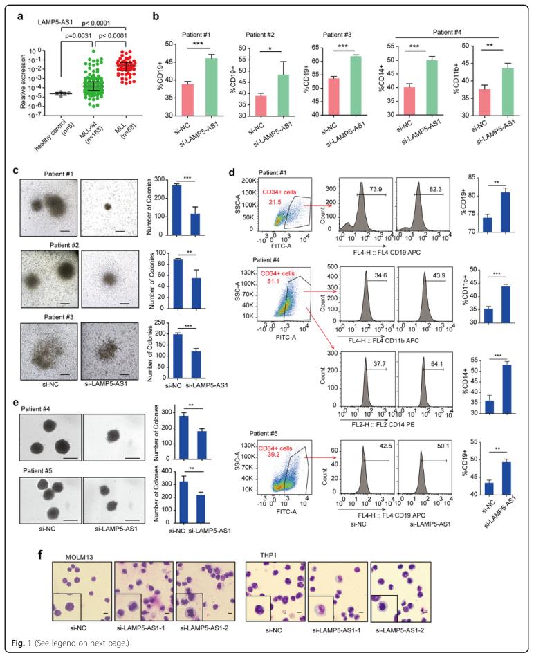 RNA pull down MS結(jié)合蛋白鑒定-客戶文獻(xiàn)-輝駿生物.png RNA pull down MS結(jié)合蛋白鑒定-客戶文獻(xiàn)-輝駿生物.png
