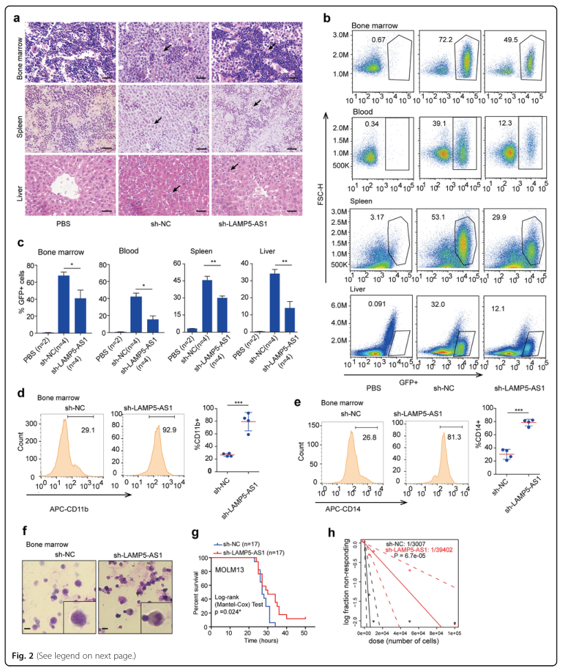 RNA pull down MS結(jié)合蛋白鑒定-客戶文獻(xiàn)-輝駿生物.png RNA pull down MS結(jié)合蛋白鑒定-客戶文獻(xiàn)-輝駿生物.png