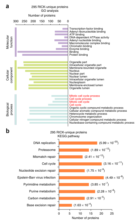 LC-MS/MS蛋白質(zhì)譜鑒定-客戶文獻-輝駿生物.png LC-MS/MS蛋白質(zhì)譜鑒定-客戶文獻-輝駿生物.png