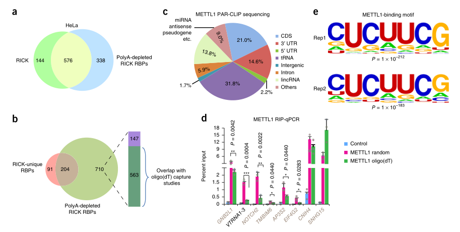 LC-MS/MS蛋白質(zhì)譜鑒定-客戶文獻-輝駿生物.png LC-MS/MS蛋白質(zhì)譜鑒定-客戶文獻-輝駿生物.png