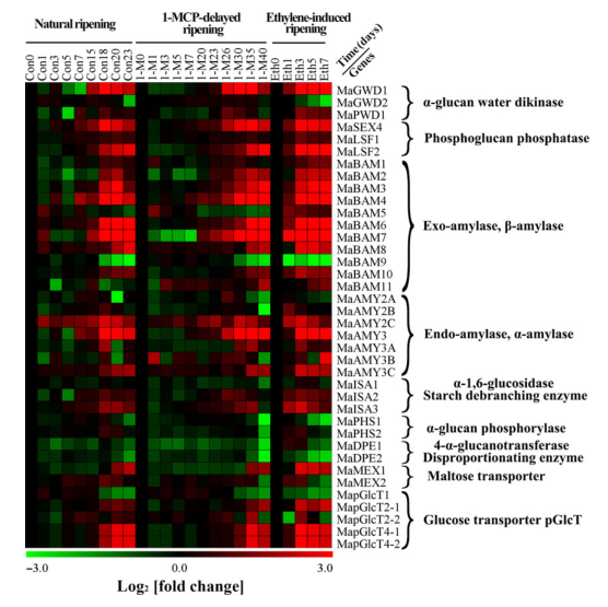 iTRAQ蛋白質(zhì)組學(xué)分析、itraq實(shí)驗(yàn)服務(wù)、iTRAQ技術(shù)