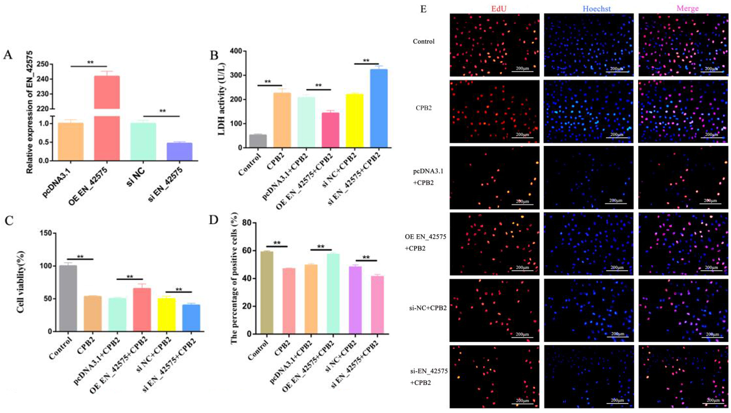 1683613833137753.jpg 2.jpg