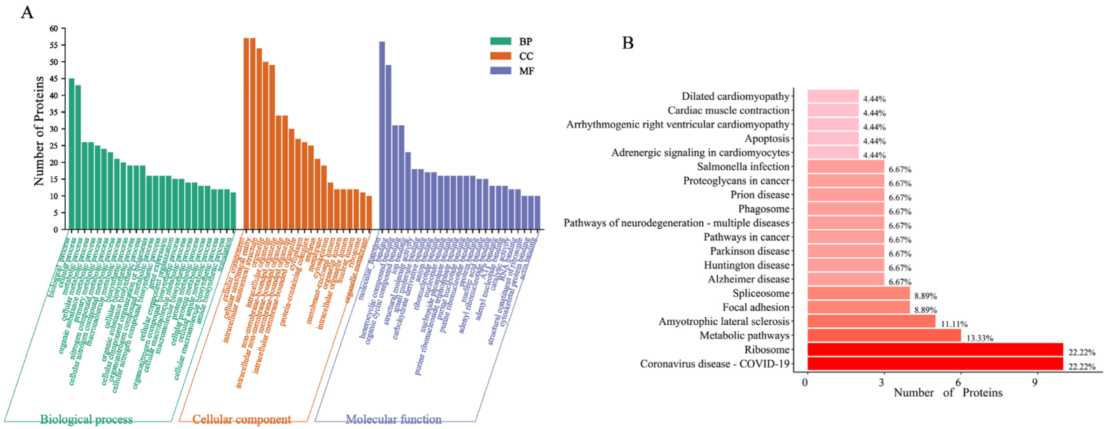 1683614412604166.png 圖片5.png