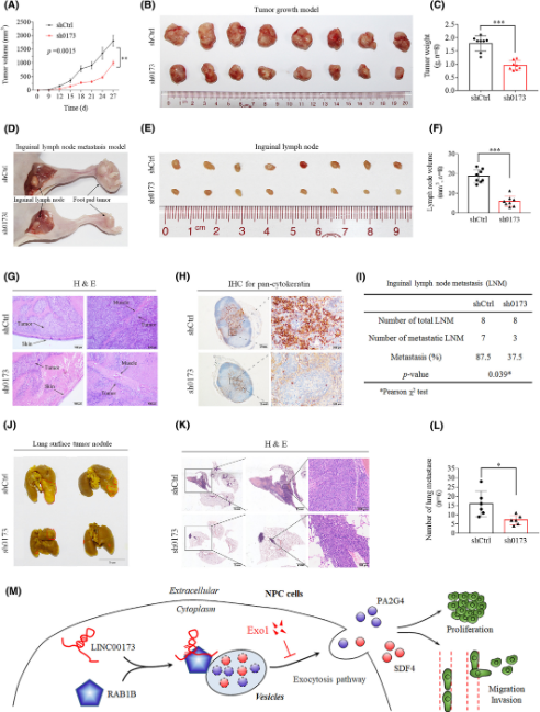 1683712746115570.png 圖片6.png