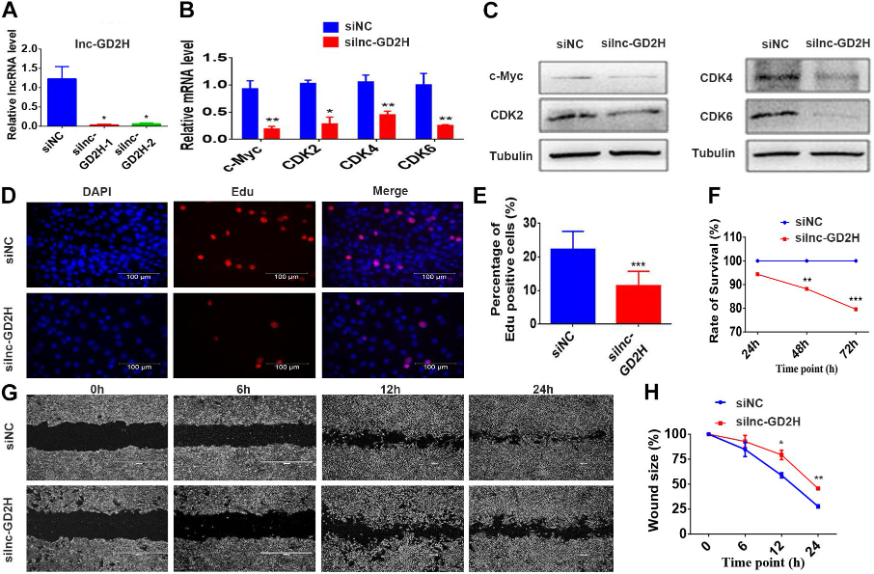 1686127007533249.png 圖片3.png