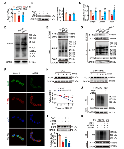 1686292093122193.png 圖片7.png