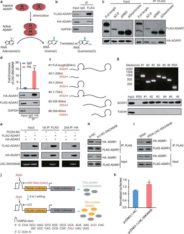 質(zhì)譜鑒定外包實(shí)驗(yàn)-輝駿生物專(zhuān)業(yè)檢測(cè)-lc-ms/ms服務(wù)到投稿 質(zhì)譜鑒定外包實(shí)驗(yàn)-輝駿生物專(zhuān)業(yè)檢測(cè)-lc-ms/ms服務(wù)到投稿
