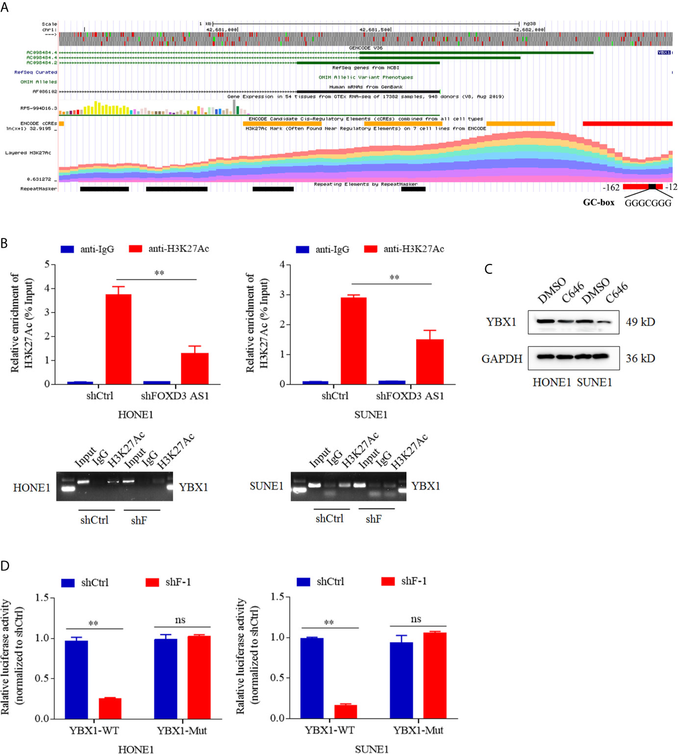 1689317733114774.jpg 1689317733114774.jpg