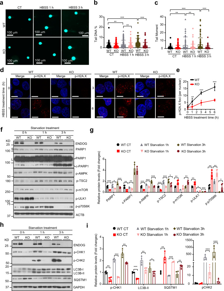 1690444892545040.jpg 1690444892545040.jpg