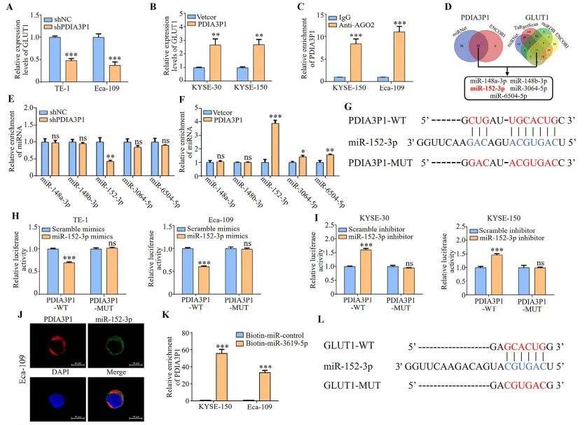 1758783343934263.jpg 圖1.jpg