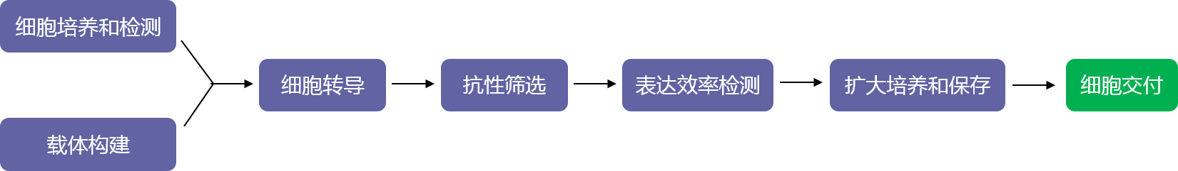 基因表達穩(wěn)轉(zhuǎn)株構(gòu)建(轉(zhuǎn)座子系統(tǒng))實驗流程-輝駿生物.png 基因表達穩(wěn)轉(zhuǎn)株構(gòu)建(轉(zhuǎn)座子系統(tǒng))實驗流程-輝駿生物.png