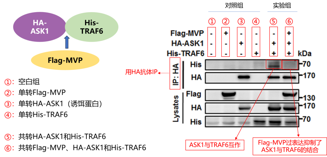 1765943619211113.png 1765943619211113.png