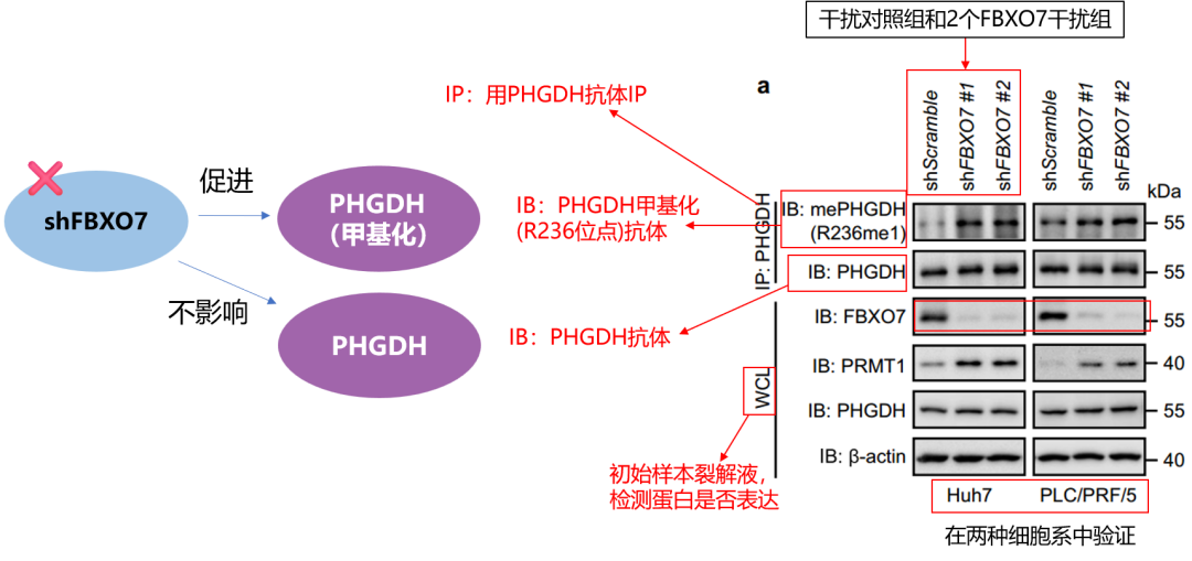 1765943700121091.png 1765943700121091.png