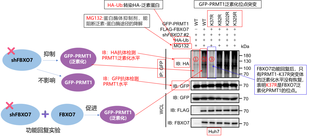 1765943716782920.png 1765943716782920.png