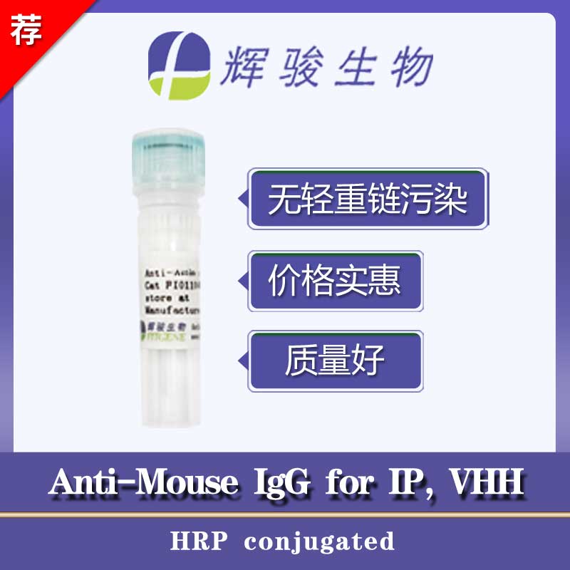 Anti-Mouse IgG for IP, VHH (HRP conjugated)