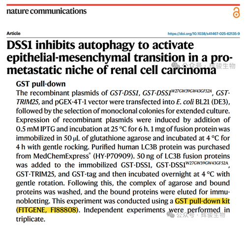 輝駿生物GST pull-down試劑盒—pulldown文獻(xiàn)客戶應(yīng)用案例.png 輝駿生物GST pull-down試劑盒—pulldown文獻(xiàn)客戶應(yīng)用案例.png