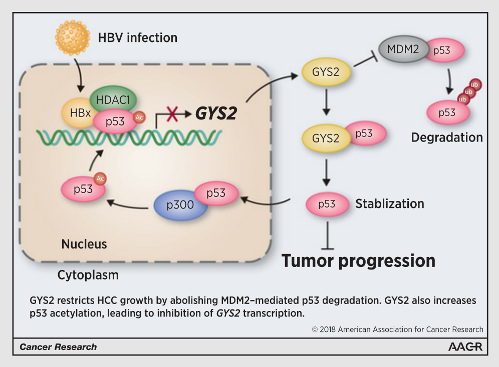 摘要圖.png 摘要圖.png