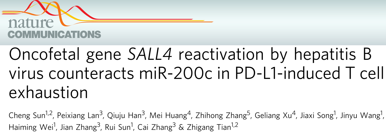 客戶文章封面.png 客戶文章封面.png